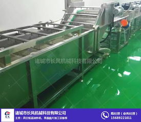 諸城市華都機械 江西海鮮翻浪清洗設備